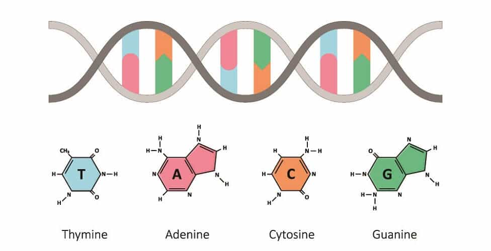 💡 Optimist's Edge: DNA insights that change your life