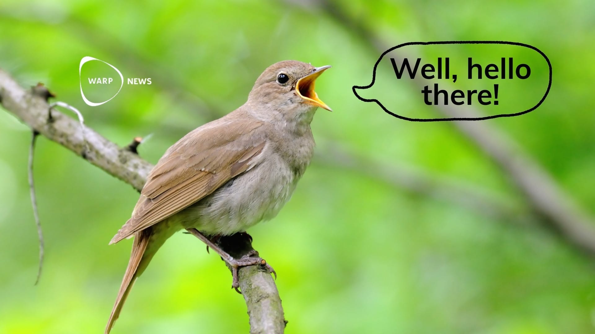 🦑 With AI we are learning to understand animal language