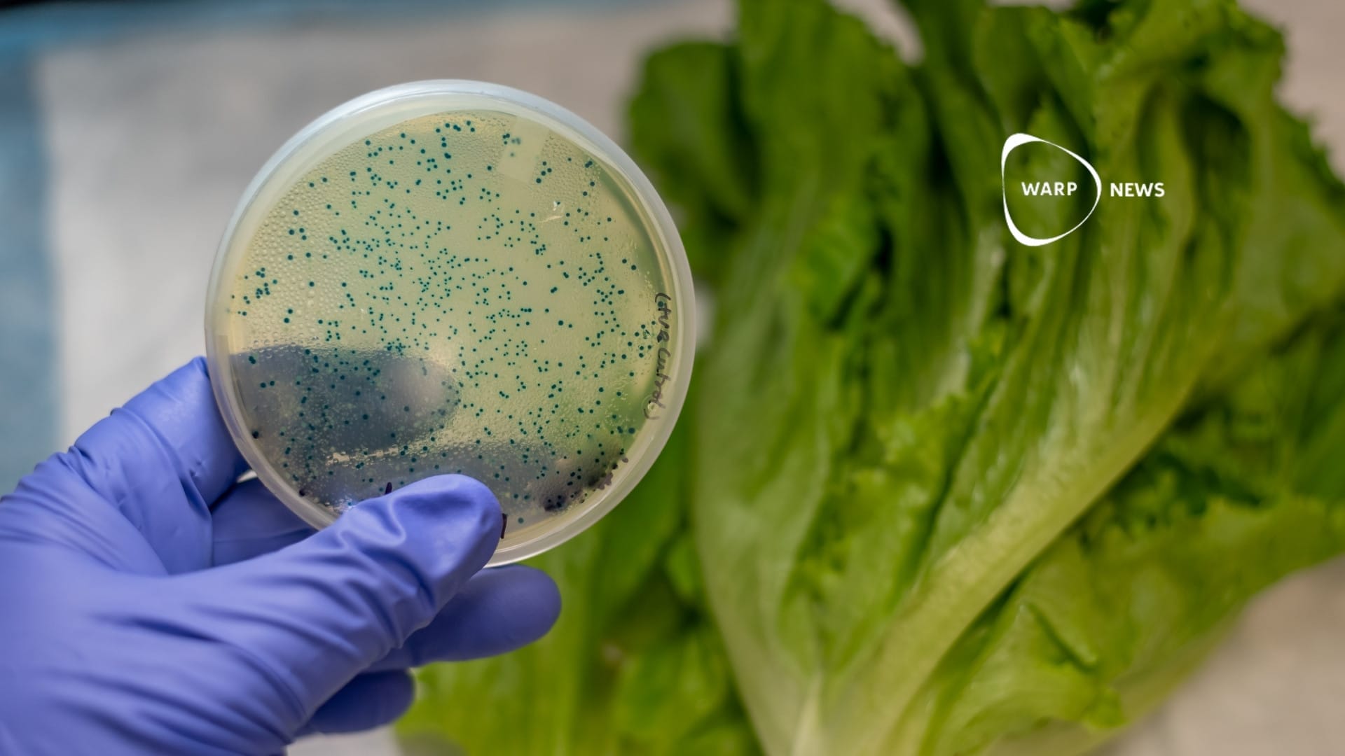 🦠 AI creates viruses that kill E. coli bacteria