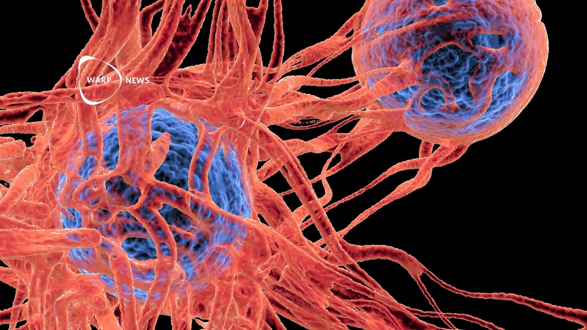 🎗️ New method creates cancer-fighting immune cells directly in the body – clinical trials show promising results