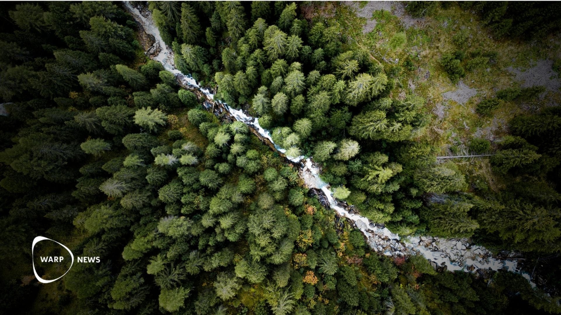 🌲 Deforestation is slowing down – forests are expanding in more and more regions