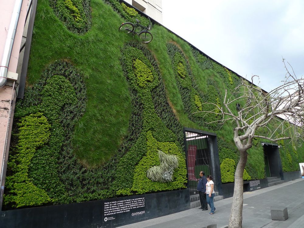 🌿🏙 Green facades can make cities cooler