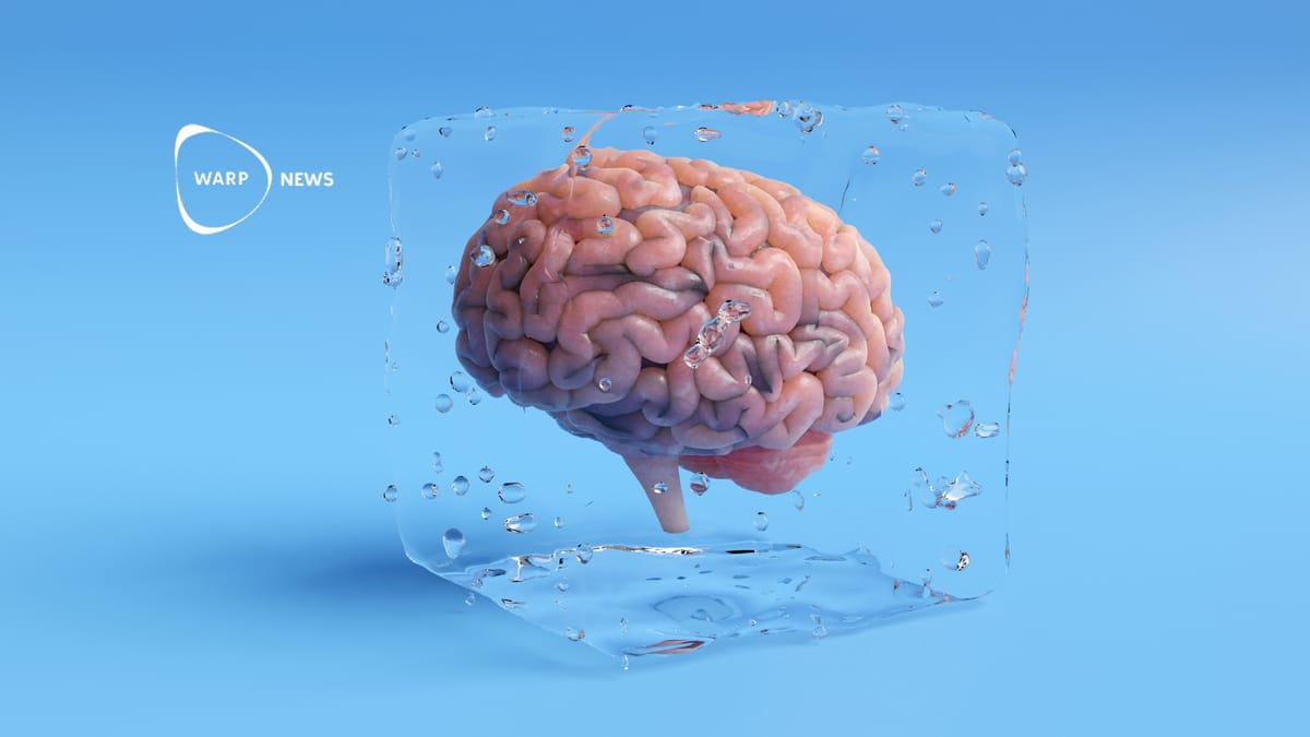 🧠 Frozen brain tissue can now be revived without damage enables research