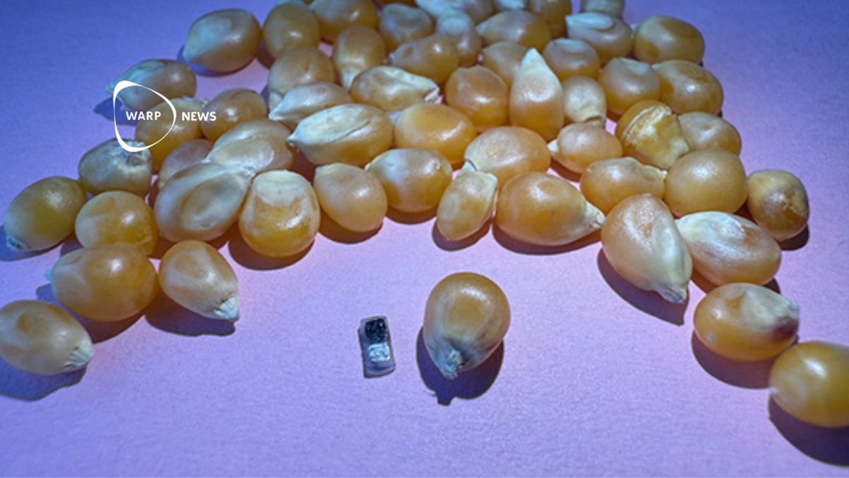 💉 A pacemaker so tiny it can be injected with a syringe